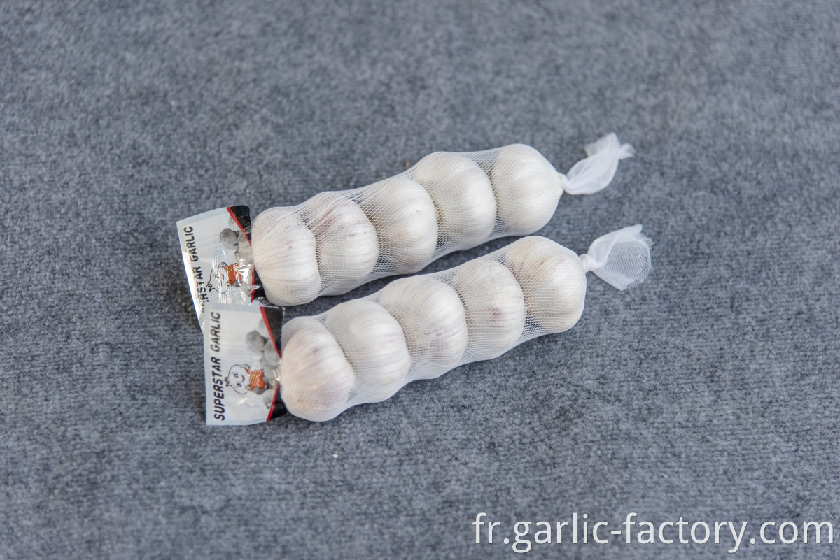Natural Fresh White Garlic Wholesales